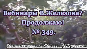 Вебинары В.Железова? Продолжаю! № 349.