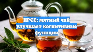 HPCE: мятный чай улучшает когнитивные функции