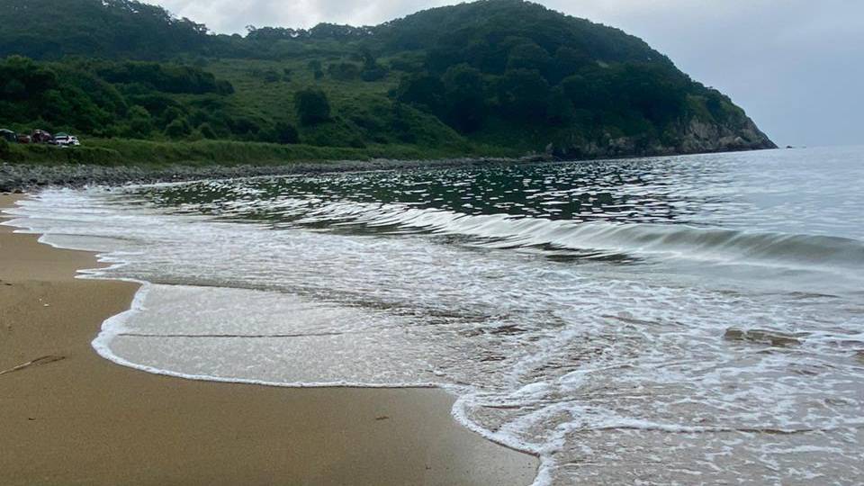 У синего моря