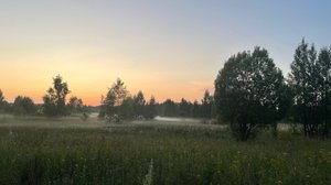 ВЫХОДНЫЕ В ДЕРЕВНЕ/СТРОЙКА ПРОДОЛЖАЕТСЯ/ДЕЛА ТЕПЛИЧНЫЕ/19 июля 2025г.