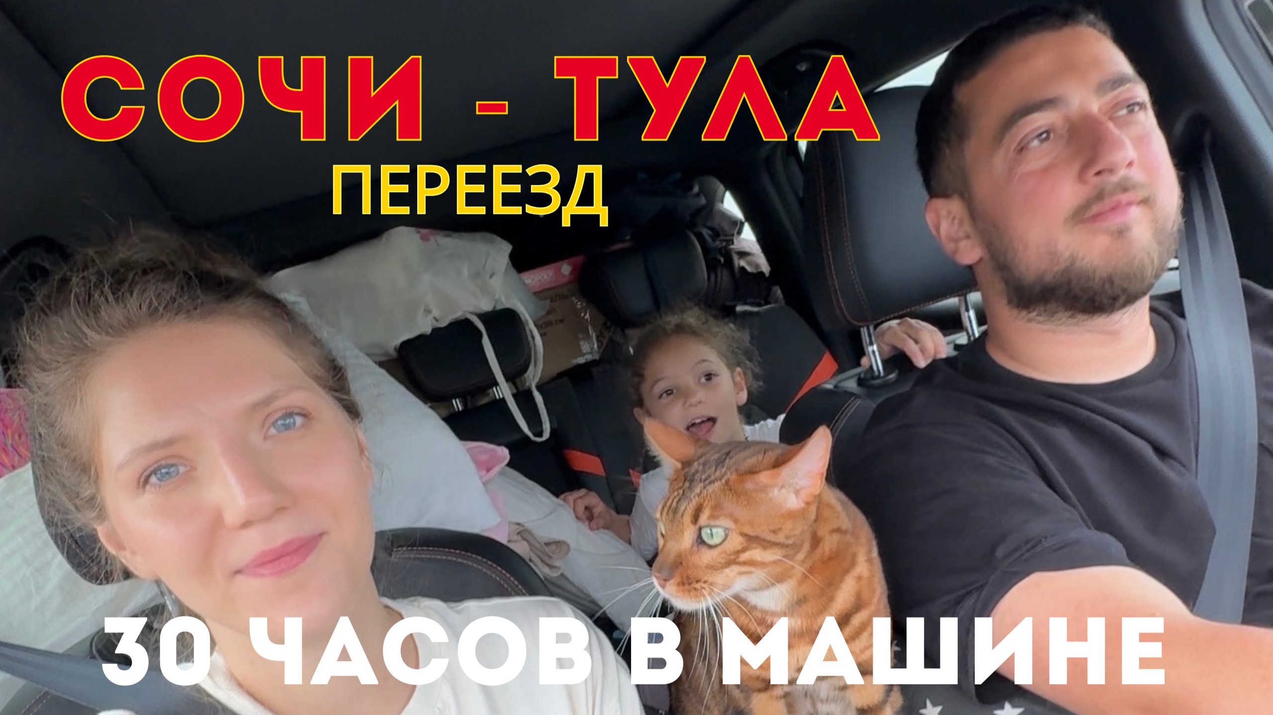 Уехали из Сочи в деревню под Тулой  30 часов в дороге с ребёнком и котом