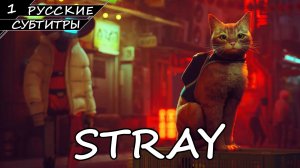 Stray - Прохождение #1 (Без Комментариев)
