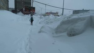 #Норильск. Что купила. Иду пешком на автовокзал. Сувениры из Норильска. Северная рыба. Цены.