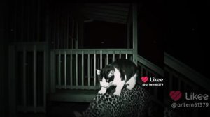 кот подружился с леопардом