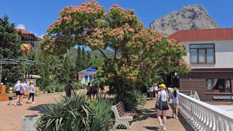 Крым пляж Новый свет гуляем. сравниваем пляжи.