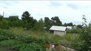 Участок 28 июля, вид с крыши домика.