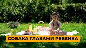 Почему ребенку нужна собака?
