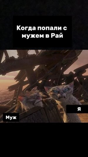 1000258302.mp4