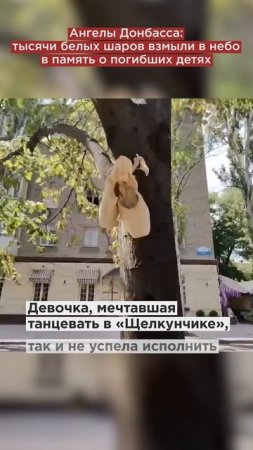 Ангелы Донбасса: тысячи белых шаров взмыли в небо в память о погибших детях