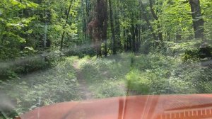 24 часа гуляю по кладбищам