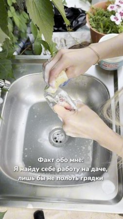 Электрическая щетка с WB: #349117376