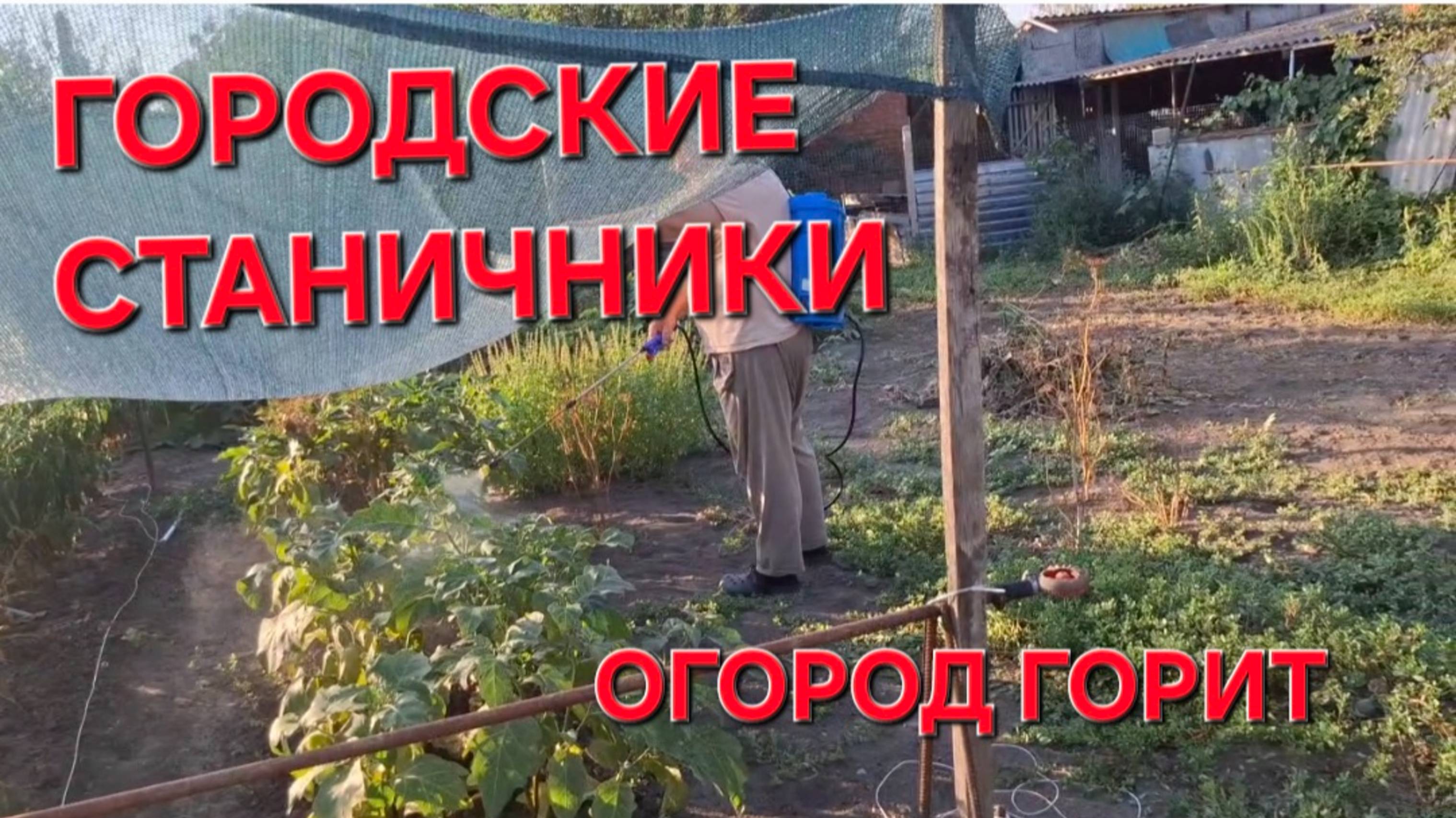 648 Переезд в станицу. Уехали в город. Цены на рынке не радуют. Огород горит.