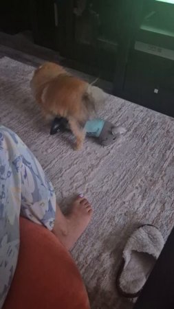 ФК Краснодар, повержен.🤣🤣🤣🤣🤣🤣🤣🤣