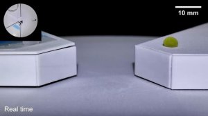 💧Роботы из жидкости с частичной броней (Particle-armored liquid robots)