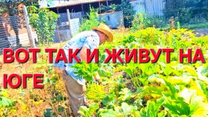 650 Жизнь после переезда в станицу. Нужно всё убирать. Решили сделать выпускной. А зря.