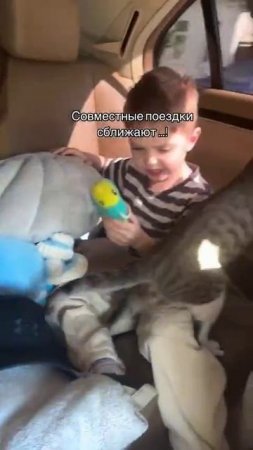 Вот компания какая