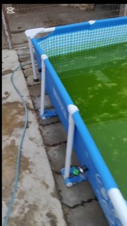 Вода в бассейне зацвела