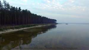 Леса звучат как песня, которую ждали всю жизнь - I Feel ya, Ophelia -- The Polish Ambassador -- Twil
