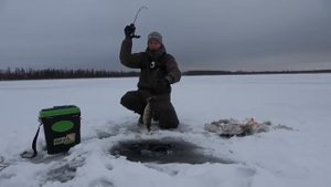 Первый лёд 2024-2025