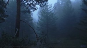 Ты услышишь звук, который пробуждает мир внутри тебя - Tropical Specimens of the Western Kind ft. Ki