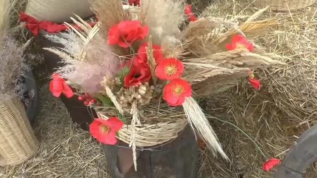 На празднике" День русского поля!!!" смотреть онлайн