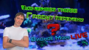 Vlog #3 Грядут перемены?