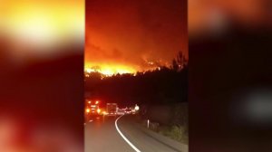 Природный пожар подошел к окрестностям турецкого города-миллионника Бурса