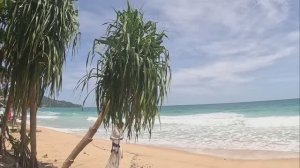 ТАЙЛАНД .ЗАШЛИ В ГОСТИ К ТАЙЦУ.СМОТРИМ КАК РАСТУТ ФРУКТЫ И ГДЕ ВЫГОДНЕЙ КУПИТЬ МАНГО И АНАНАСЫ.