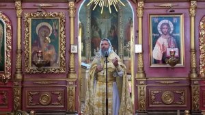 Проповедь протоиерея Василия Павлова в Неделю 7-ю по Пятидесятнице (27.07.2025)