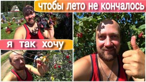 ВЛОГ! Красота какая😍Наслаждаемся вкусными ягодками на нашем огороде😊Отдыхаем всей семьёй на даче👍