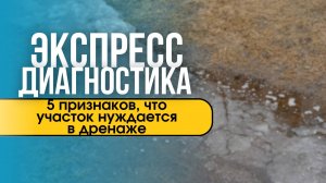 Экспресс-диагностика: 5 признаков, что участок нуждается в дренаже