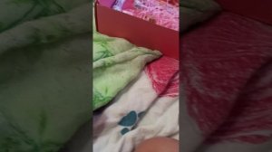 распаковка бокс лапки