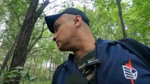 Первые грибы