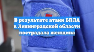 В результате атаки БПЛА в Ленинградской области пострадала женщина