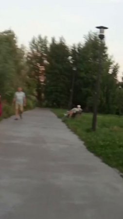 Парк дети родители много народу