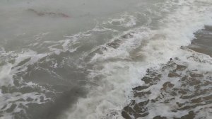 Море в феврале