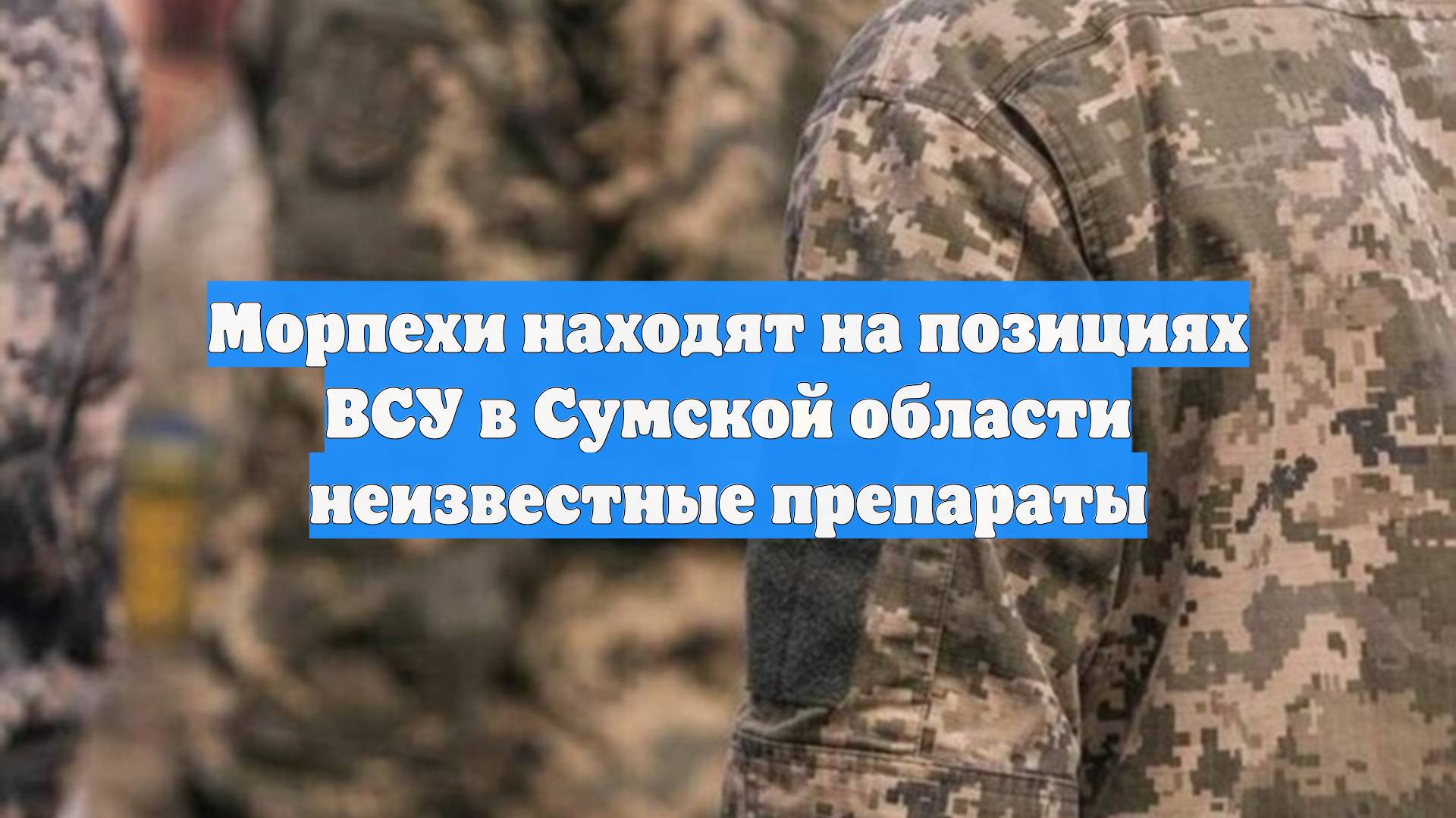 Морпехи находят на позициях ВСУ в Сумской области неизвестные препараты