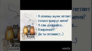 🏵️🪷💮🌸🌺🌼 Позитивный настрой на каждый день 🌞