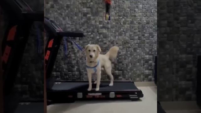 Спортсмен