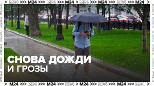 Синоптики спрогнозировали дожди с грозами в Московском регионе 27 июля