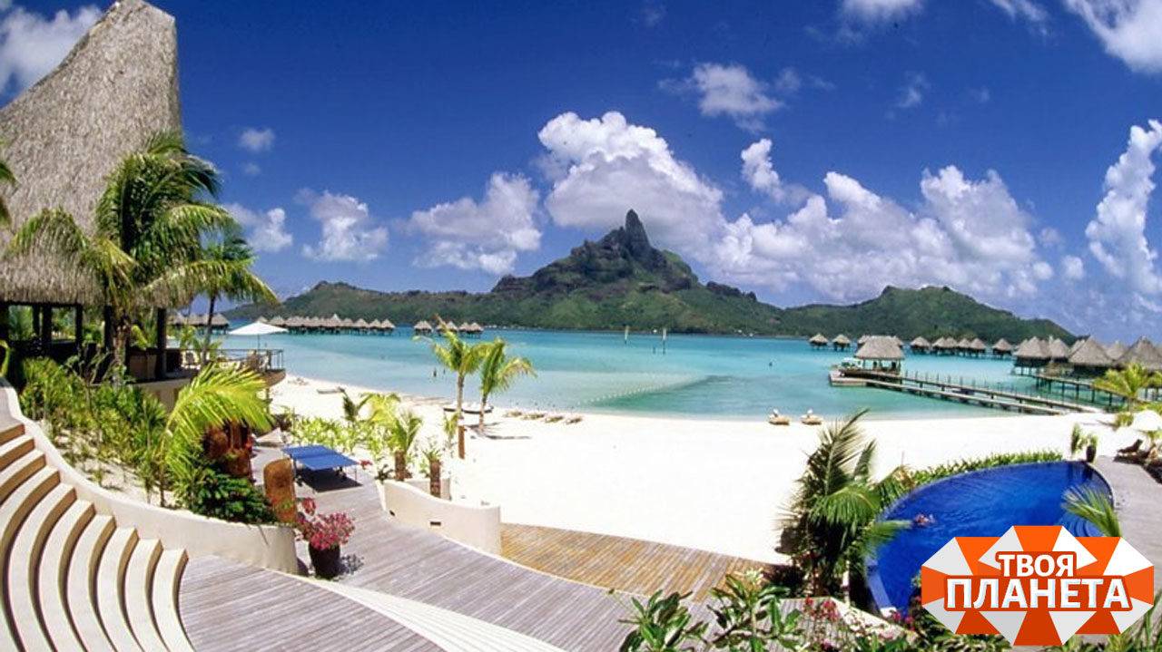 АВГУСТ--БЛИЗНЕЦЫ(таро)