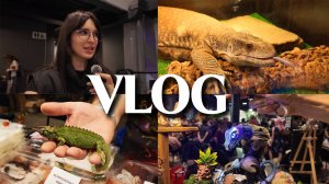 REPTILIUM 2025: ШОК! Мы чуть не купили ВАРАНА / Полный Обзор / ЦЕНЫ, от которых ВЫПАДАЮТ ГЛАЗА