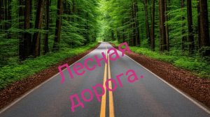 Лесная дорога.