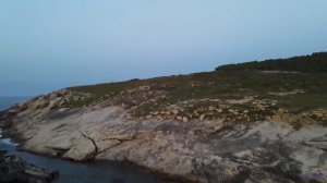 Отправляйтесь в путь под эту песню - и каждый момент станет особенным! - Harvesting The Yanny Laurel