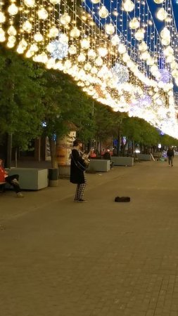 85_Челябинск