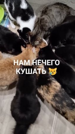 37 ЖИЗНЕЙ ! (((