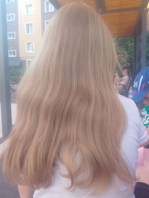 прятки с трансляцией