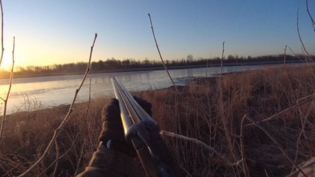 Красота! Выстрел по селезню. Весенняя охота с подсадной. Тюмень - 2024 год, весна смотреть онлайн