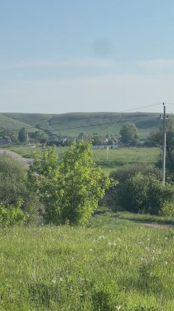 около кладбища с. Мордовская Селитьба