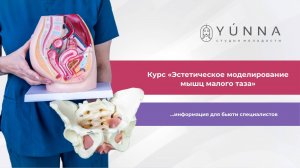 Курс «Эстетическое моделирование мышц малого таза»